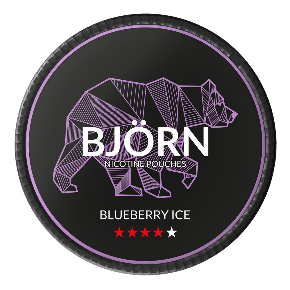 saszetka nikotynowa bjorn blueberry ice