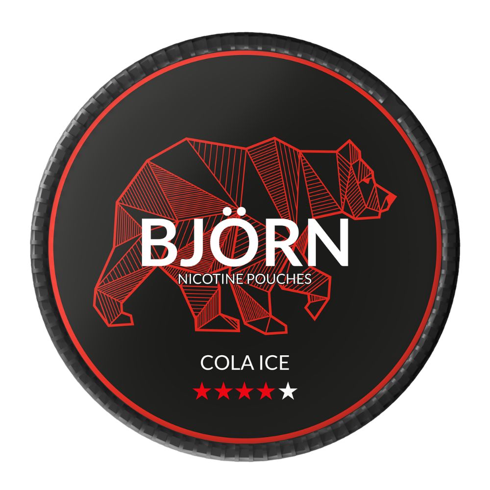 saszetka nikotynowa bjorn blueberry ice