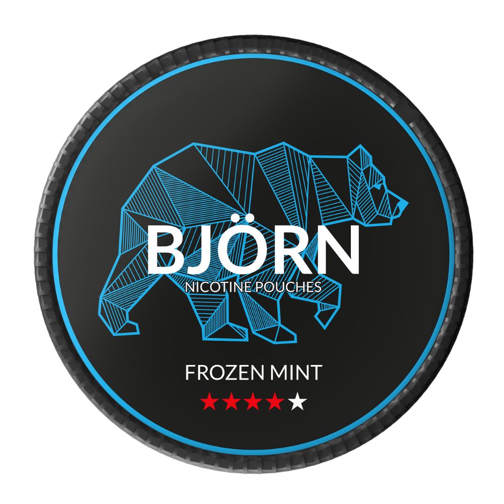 saszetka nikotynowa bjorn blueberry ice
