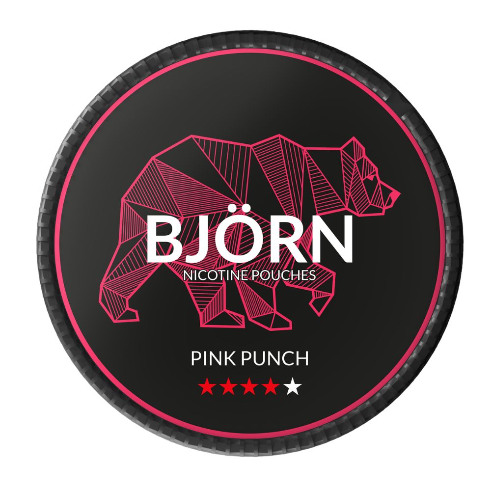 saszetka nikotynowa bjorn blueberry ice