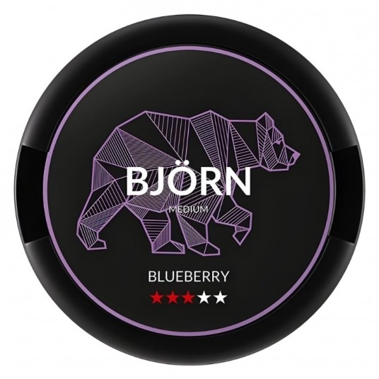 Saszetki nikotynowe BJORN Blueberry 9,1mg