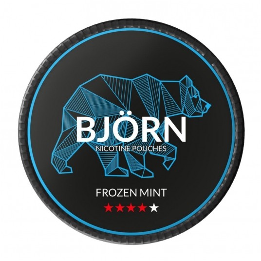Saszetki nikotynowe BJORN Frozen Mint 11,7mg