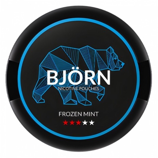 Saszetki nikotynowe BJORN Frozen Mint 9,1mg