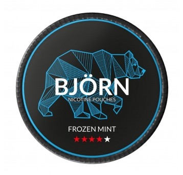 Saszetki nikotynowe BJORN Frozen Mint 11,7mg