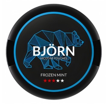 Saszetki nikotynowe BJORN Frozen Mint 9,1mg